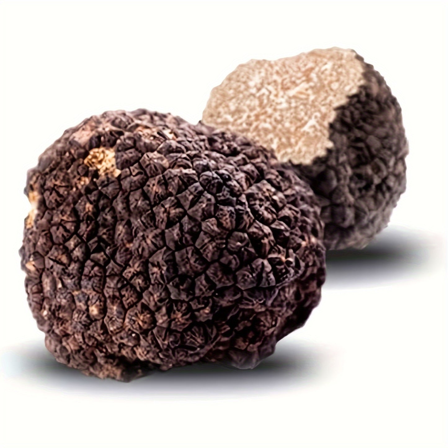 Dried Wild Black Truffles 1oz Premium Grade