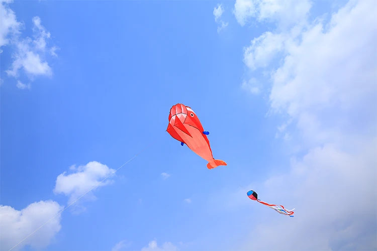 Large Dolphin Kite