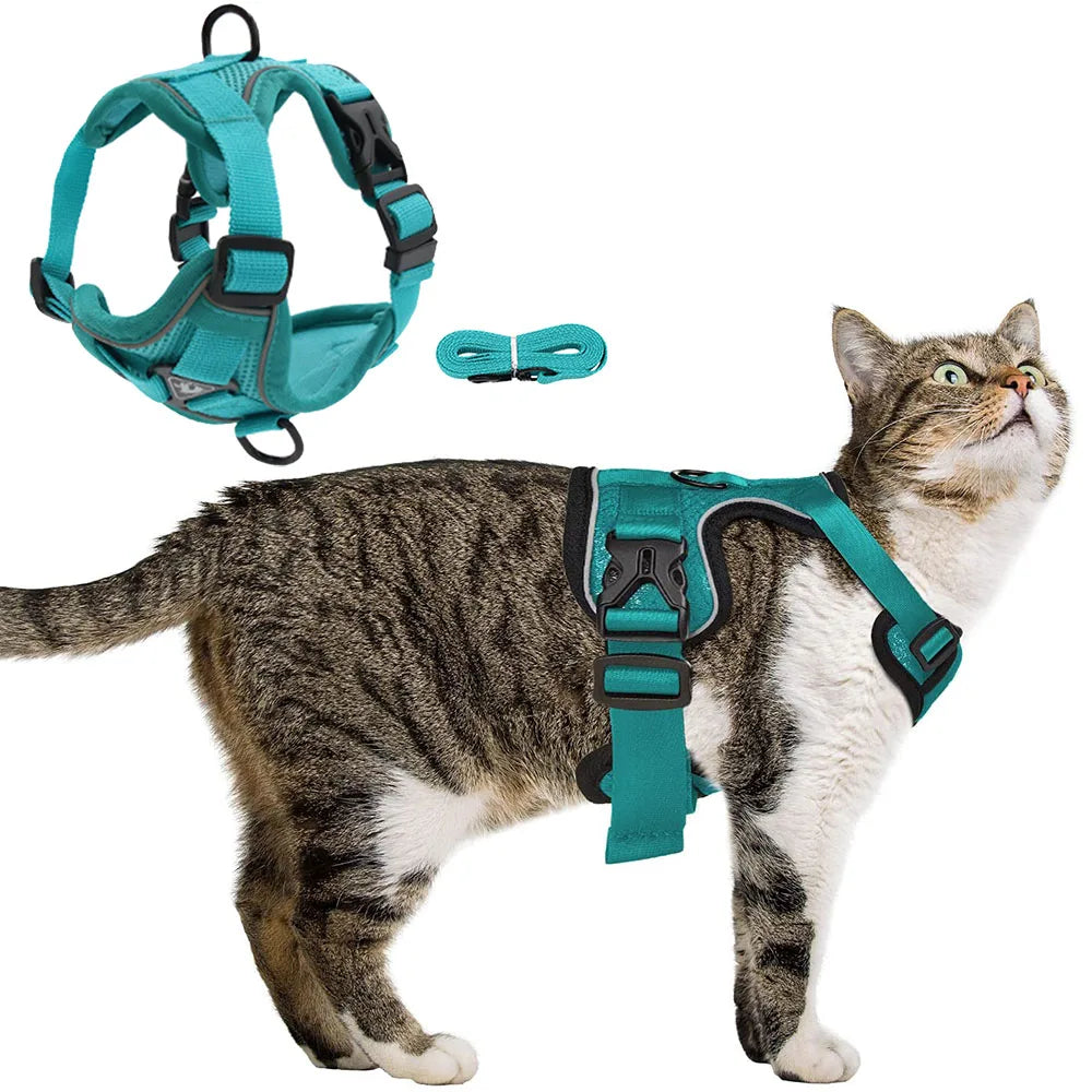 Cat Harness and Leash