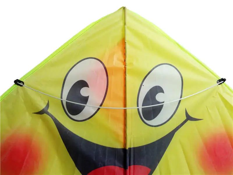 Smiling Face Stunt Kite