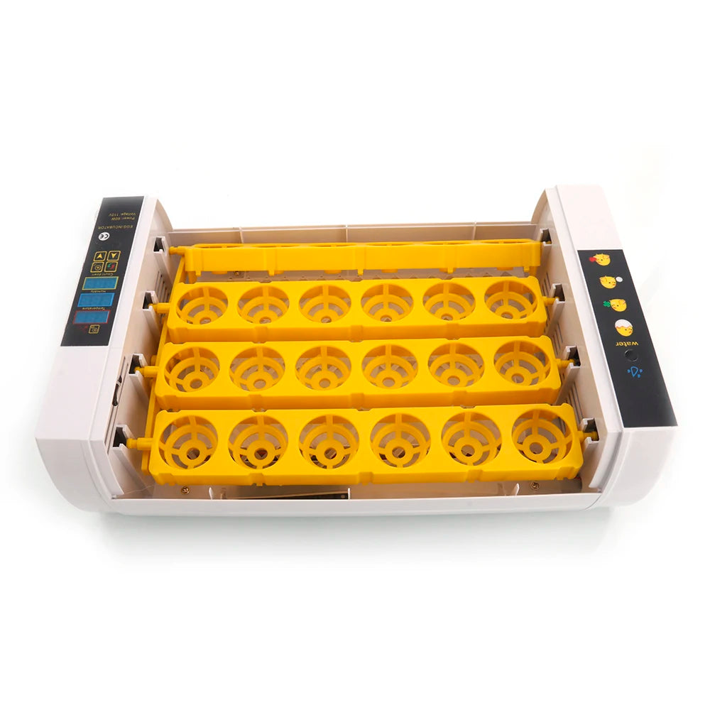 24-Egg Poultry Incubator