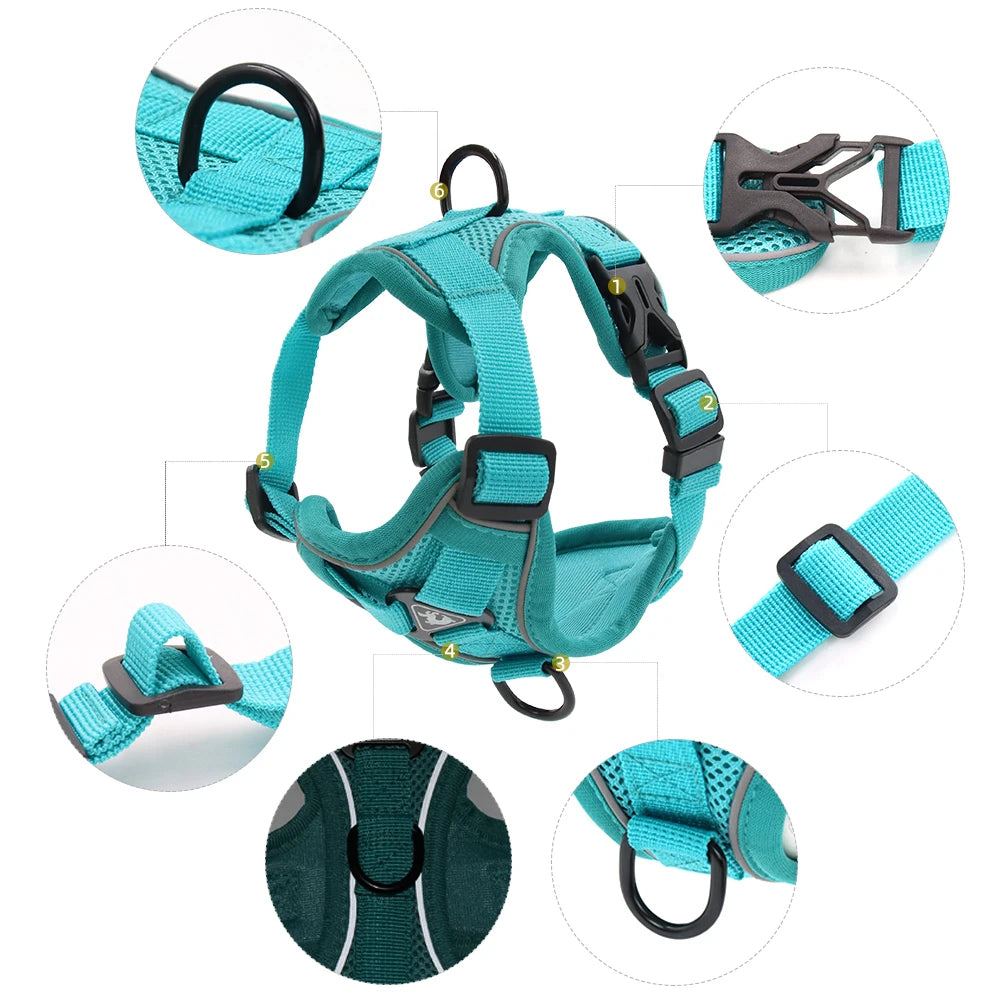 Cat Harness and Leash