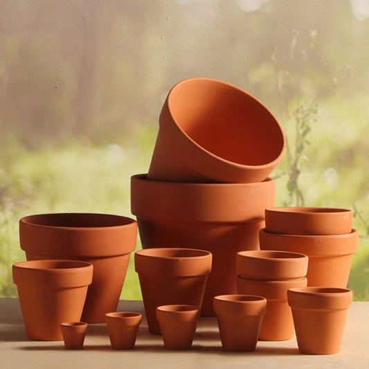 Terracotta Plant Mini Pot