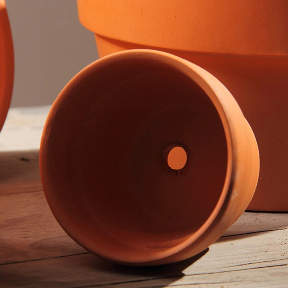 Terracotta Plant Mini Pot