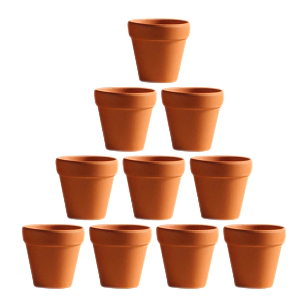 Terracotta Plant Mini Pot