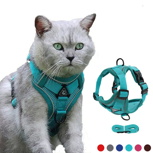 Cat Harness and Leash