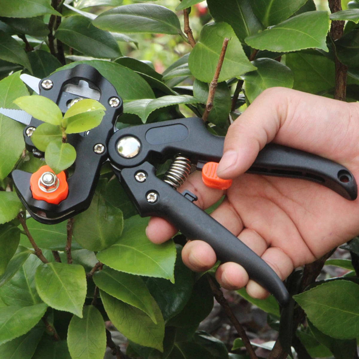 Grafting Pruner Garden Tool - Michef's Outside