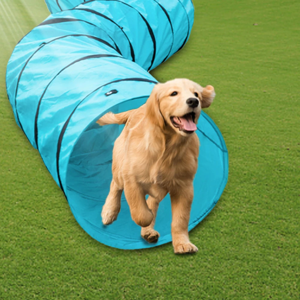 Pet Agility Training Tunnel