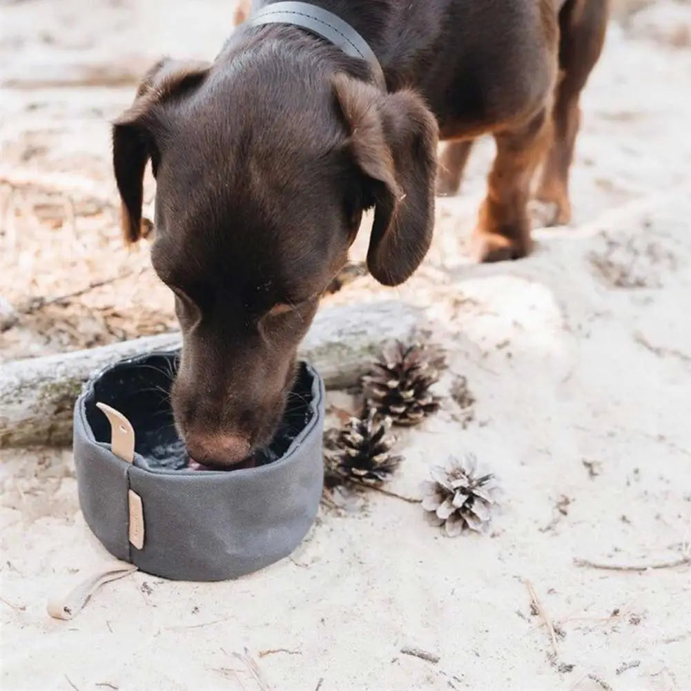 Portable Travel Food & Water Bowls