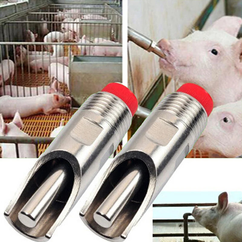 Stainless Steel Automatic Nipple for Livestock