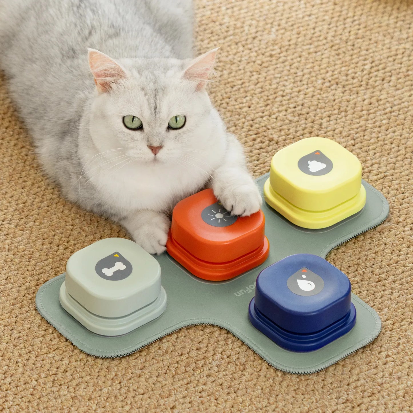 Pet Communication Vocal Training Interactive Toy