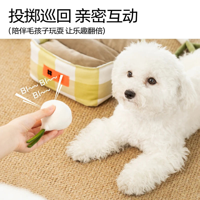 Vegetable Interactive Toy