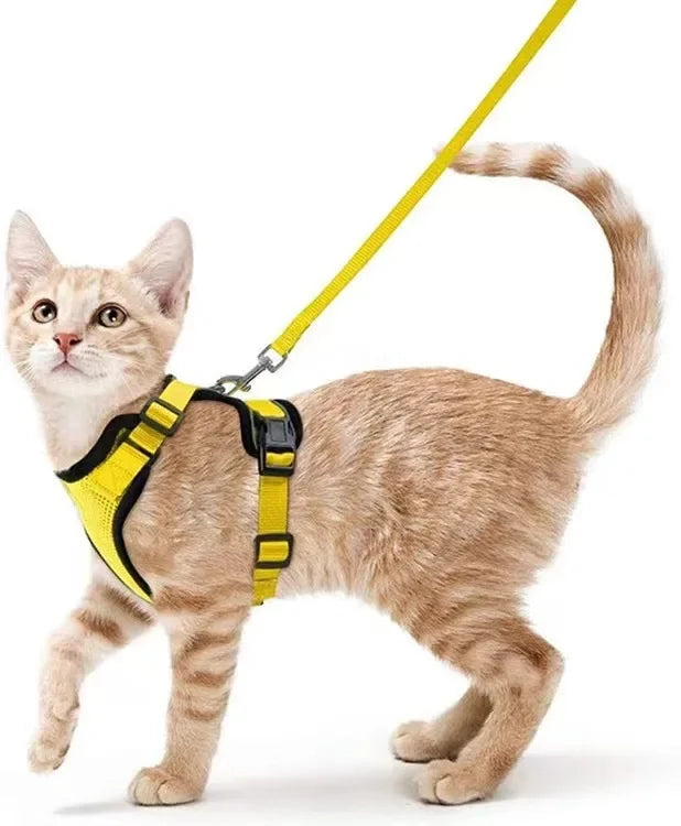 Cat Harness and Lead