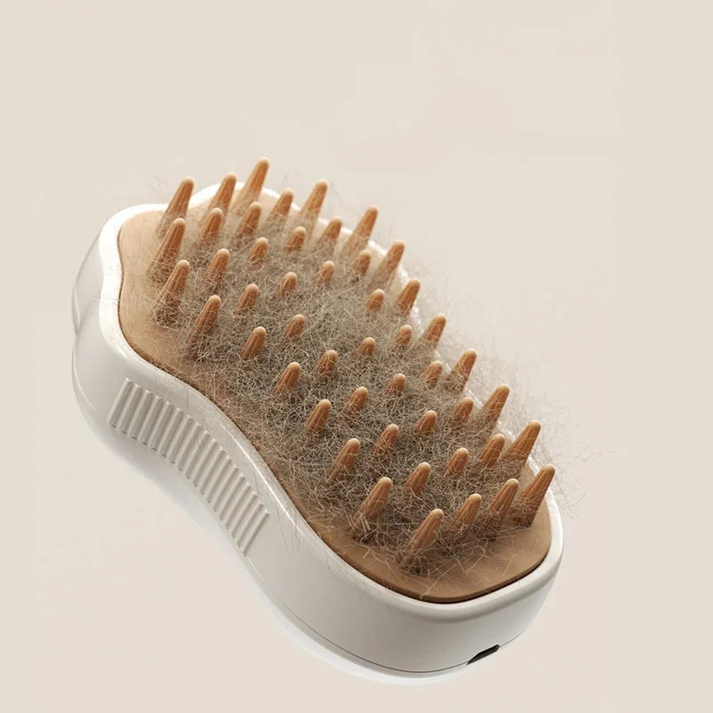 3 in 1 Cat Steam Brush