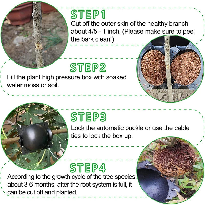 Plant Rooting Balls