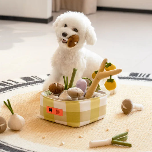 Vegetable Interactive Toy