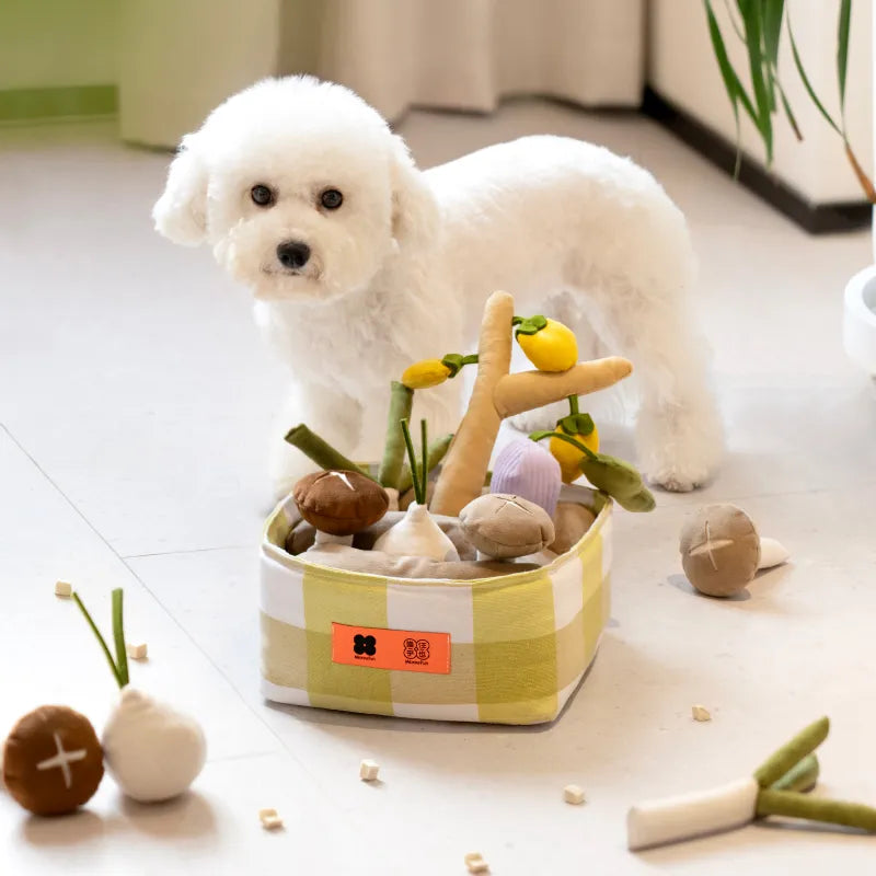 Vegetable Interactive Toy