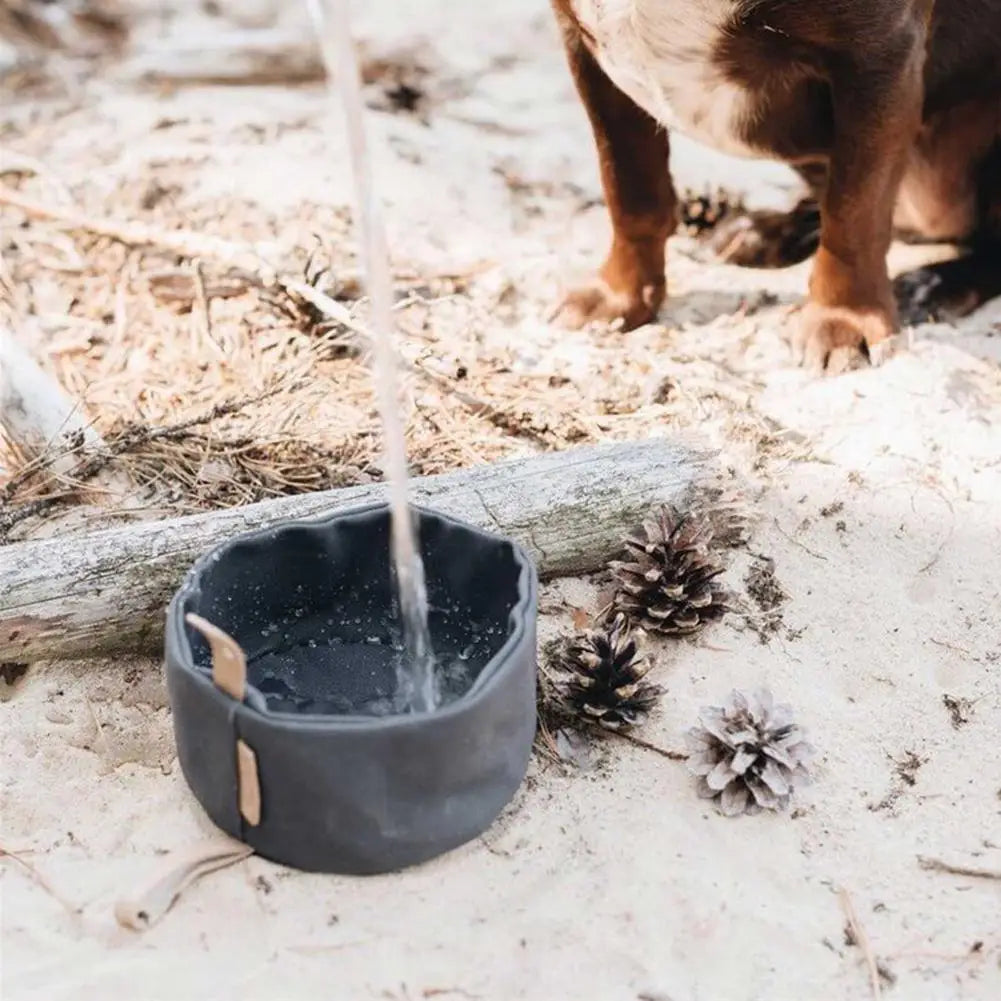 Portable Travel Food & Water Bowls