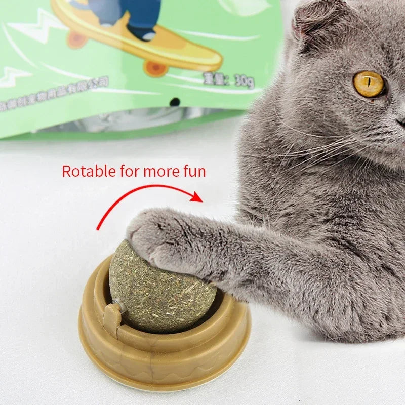 Rolling Catnip Ball Toy