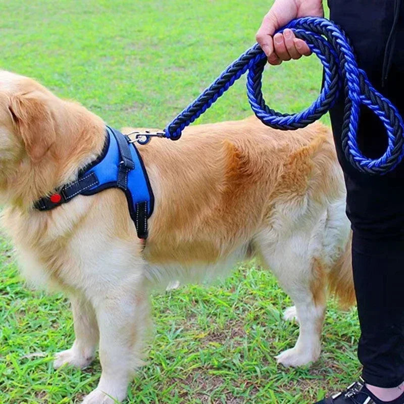 Tough Rope Dog Leash