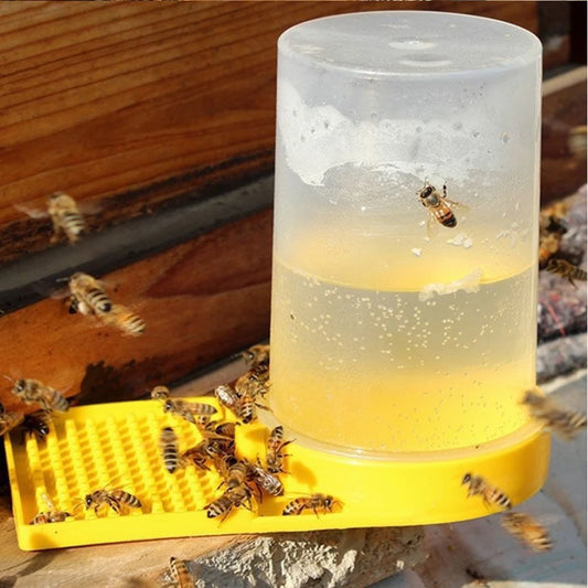 Honey Bee Door Feeding Drinking Water Box