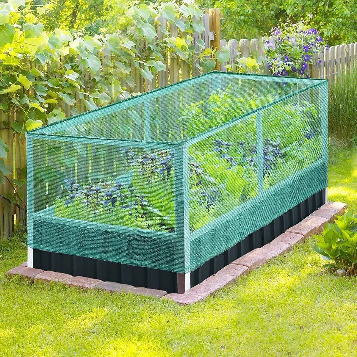 Raised Bed with Anti Bird Netting - Michef's Outside