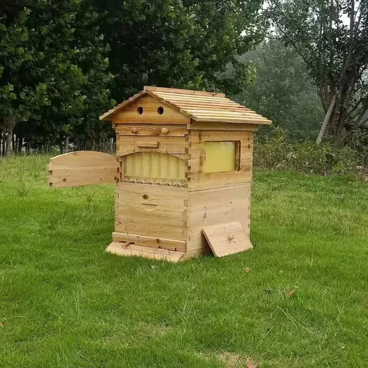 Automatic Flow Beehive