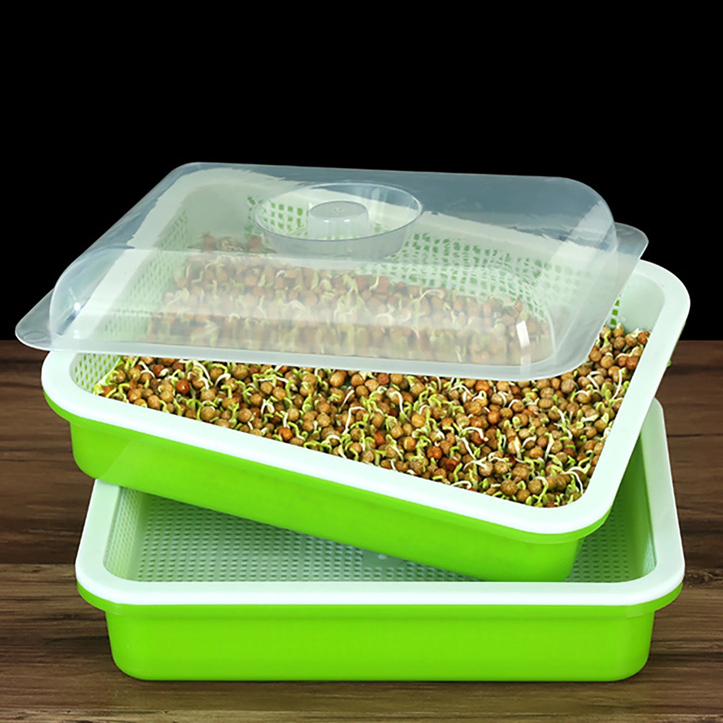 Sprouting Tray With Cover