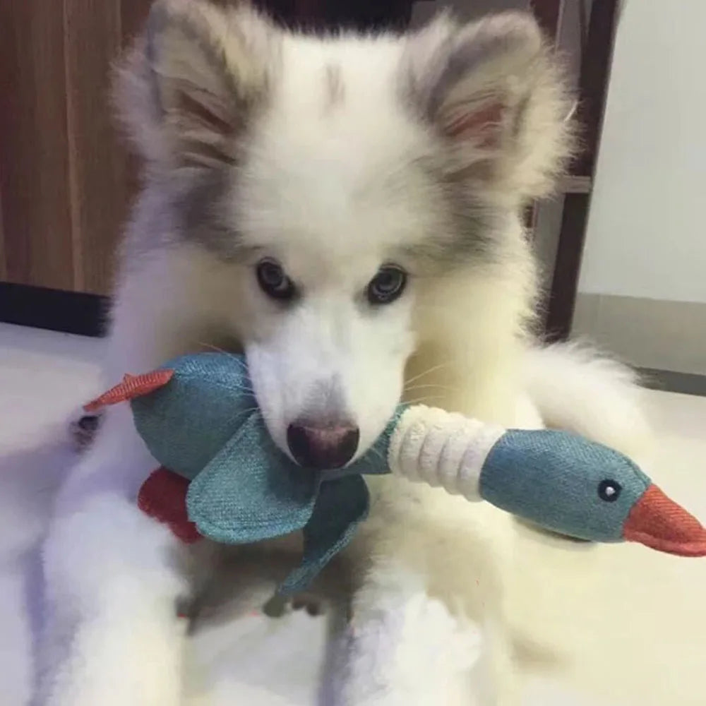 Duck Dog Toy for Aggressive Chewers