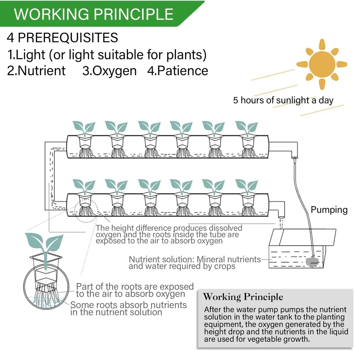 3-Layer Hydroponics System Growing Kit - Michef's Outside