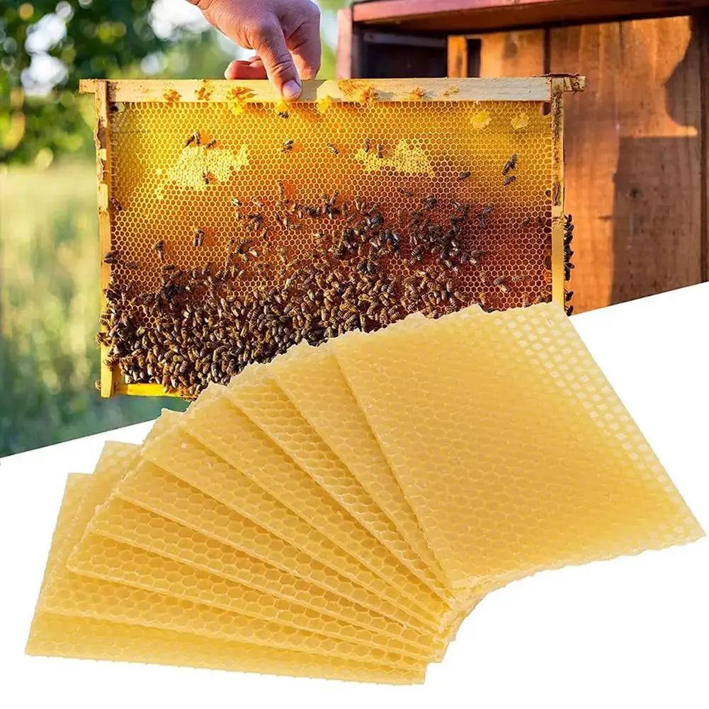 Bee Hive Wax Frames