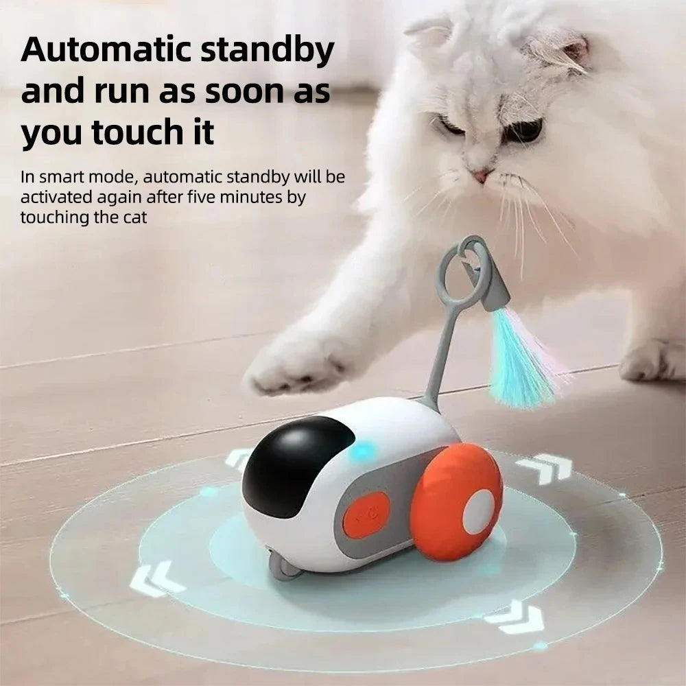 Remote Control Cat Toy