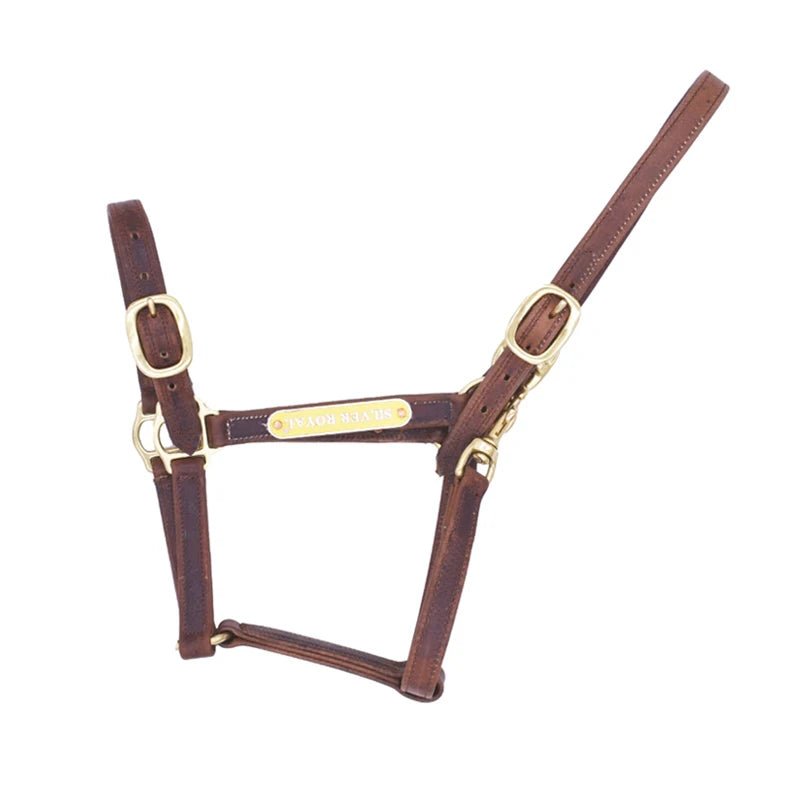 High-Quality Horse Halter