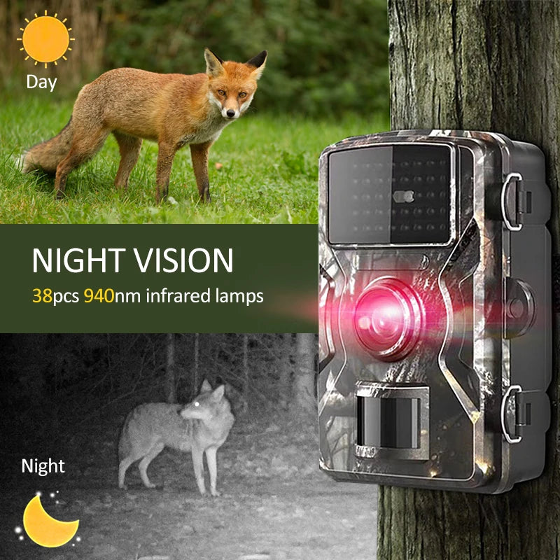 Trail Camera Motion Activated - Michef's Outside