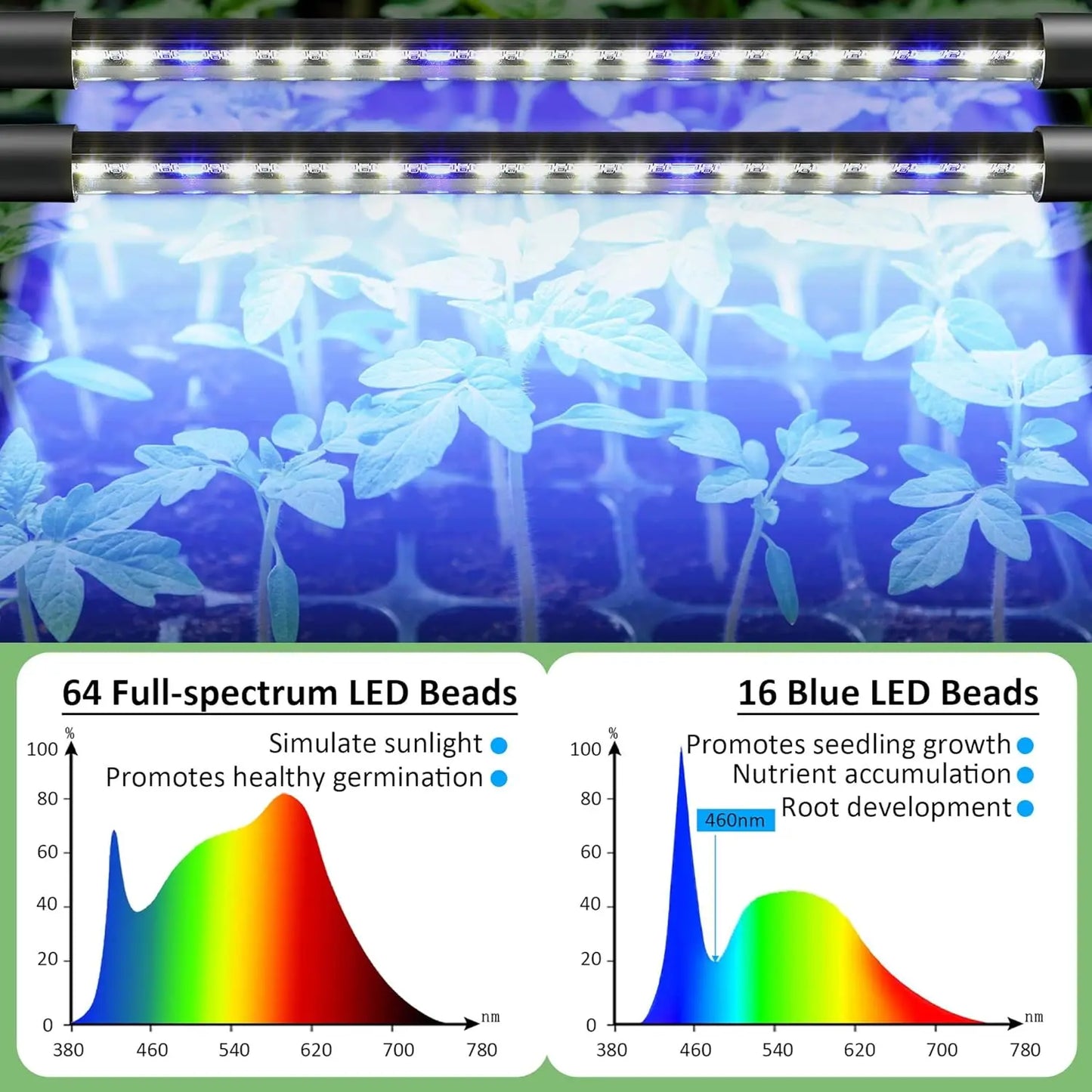 2 Pack Seed Starter Tray with Grow Lights