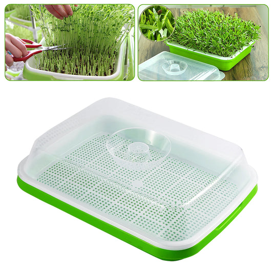 Sprouting Tray With Cover