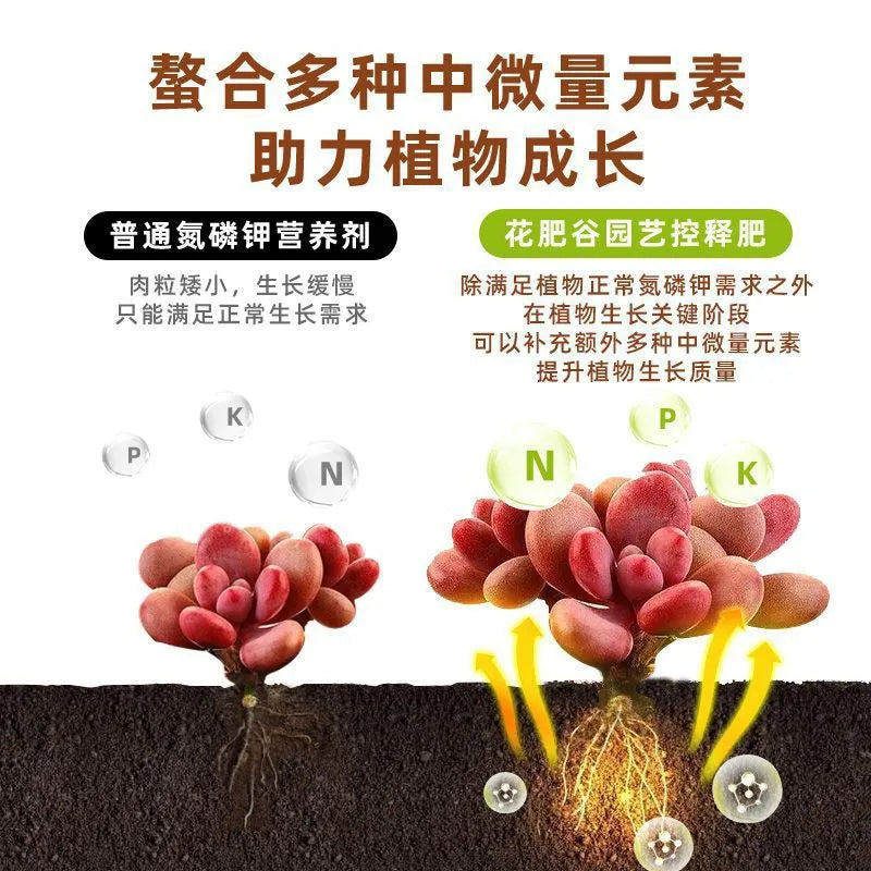 Nitrogen Phosphorus and Potassium Fertilizer Controlled Release