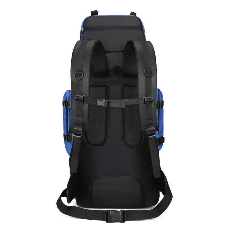 Traveling Luggage Backpack