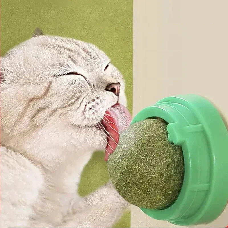 Rolling Catnip Ball Toy