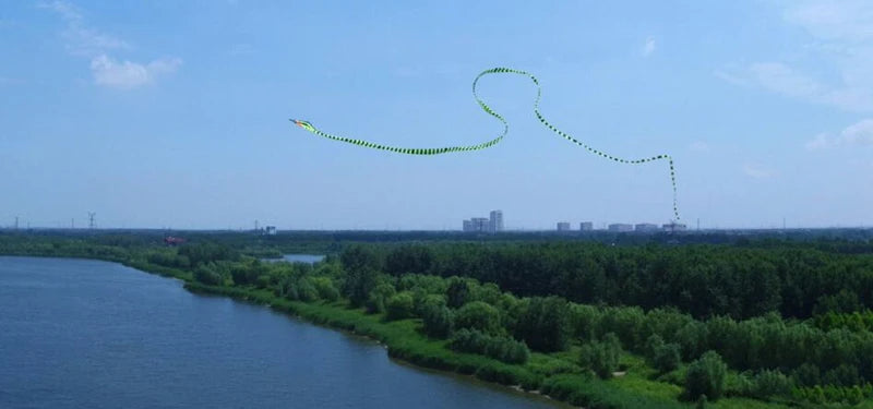 Cobra kite