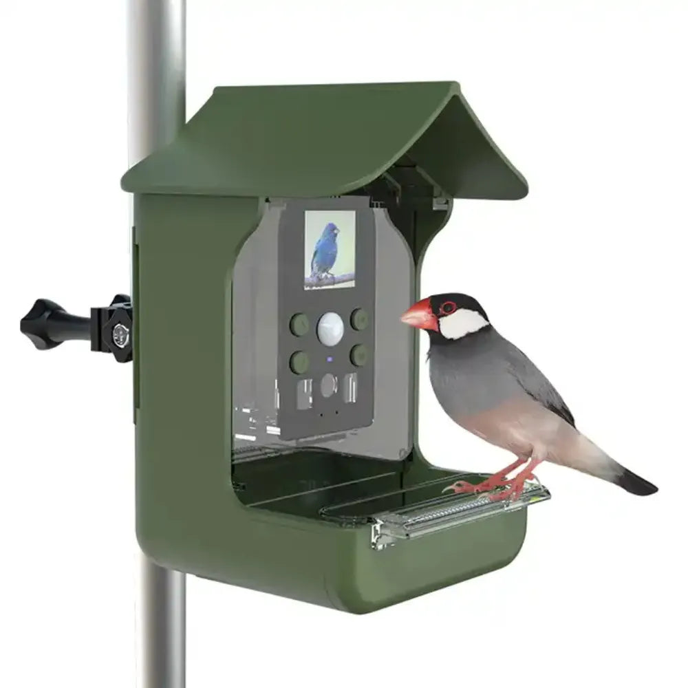 Waterproof Smart Window Bird Feeder with Camera