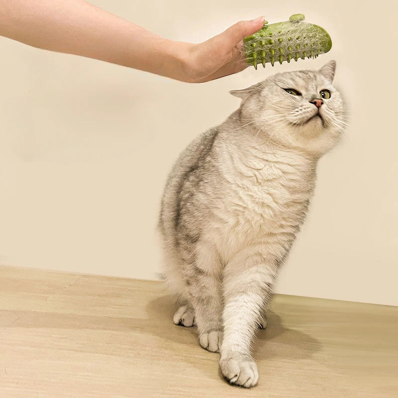 Cat Scratching Rubbing Brush