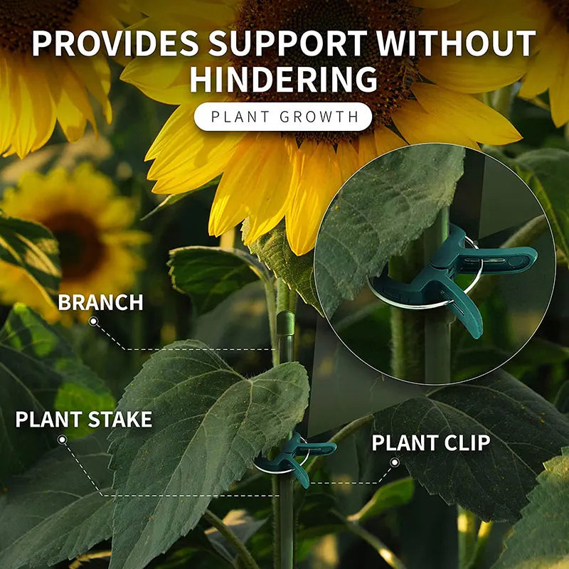 Plant Clips Reusable