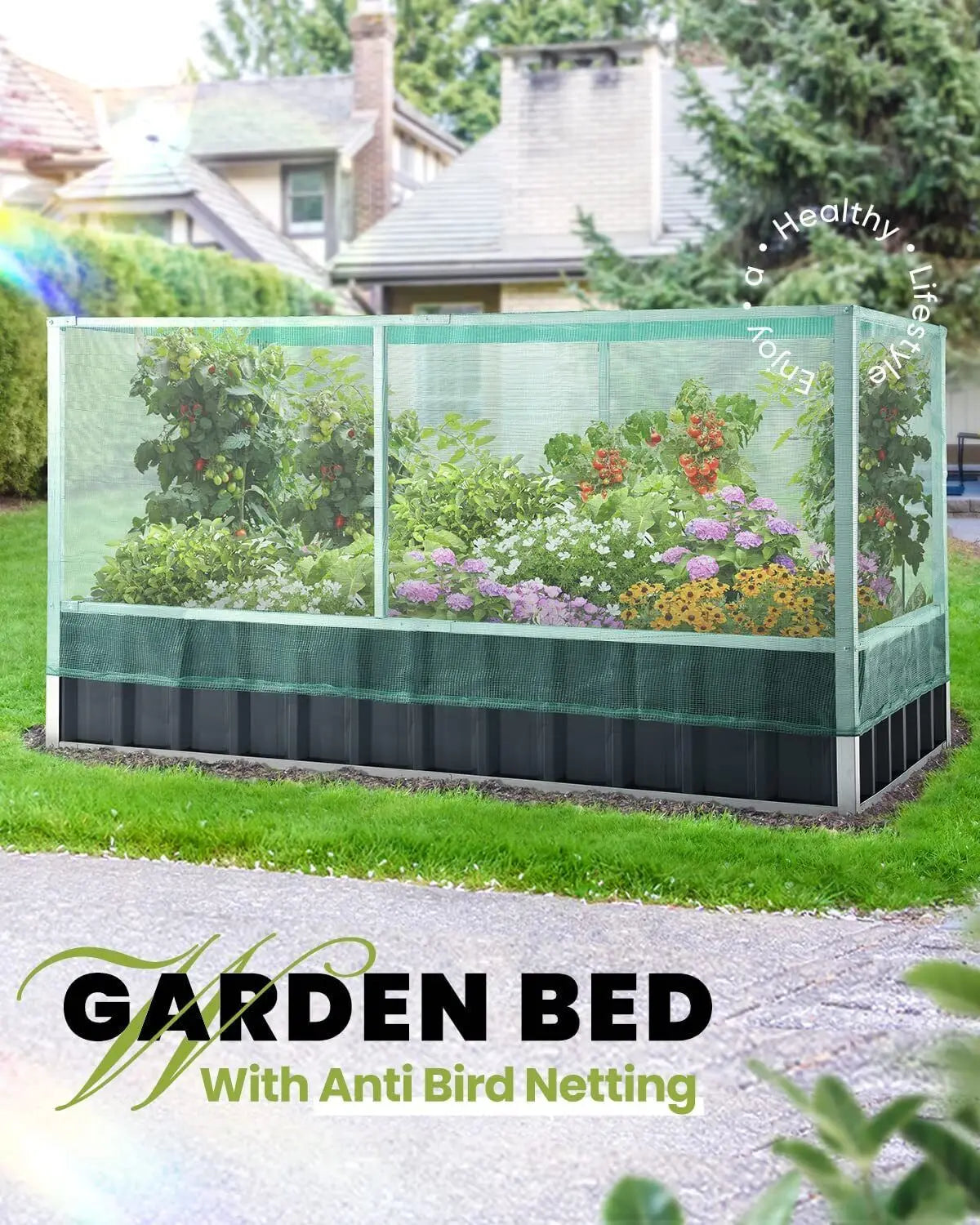 Raised Bed with Anti Bird Netting - Michef's Outside