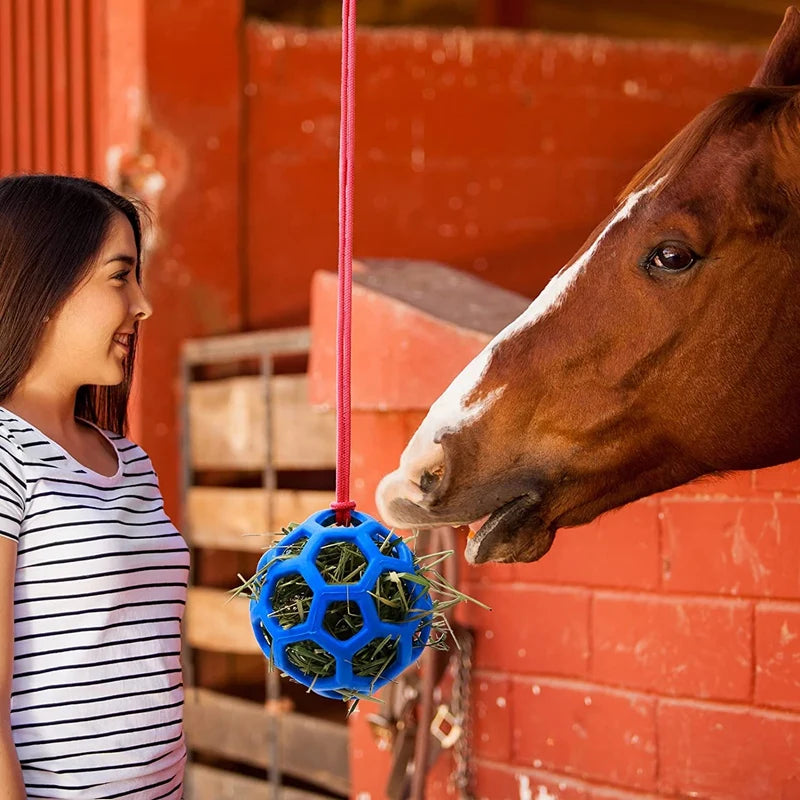 2 Pack Horse Treat Hay Play Ball