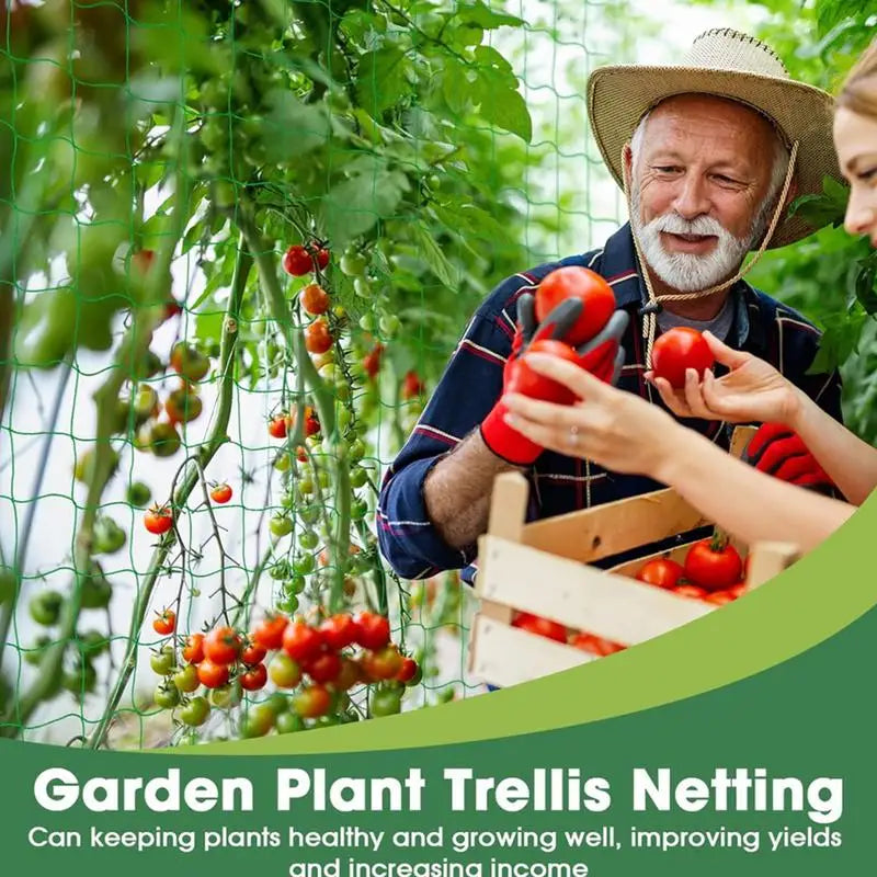 Trellis Netting For Climbing Plants & SCROG