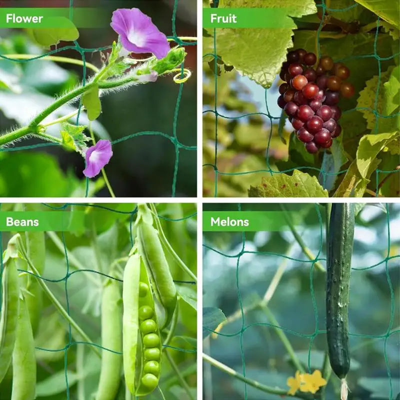 Trellis Netting For Climbing Plants & SCROG