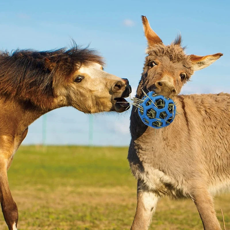 2 Pack Horse Treat Hay Play Ball