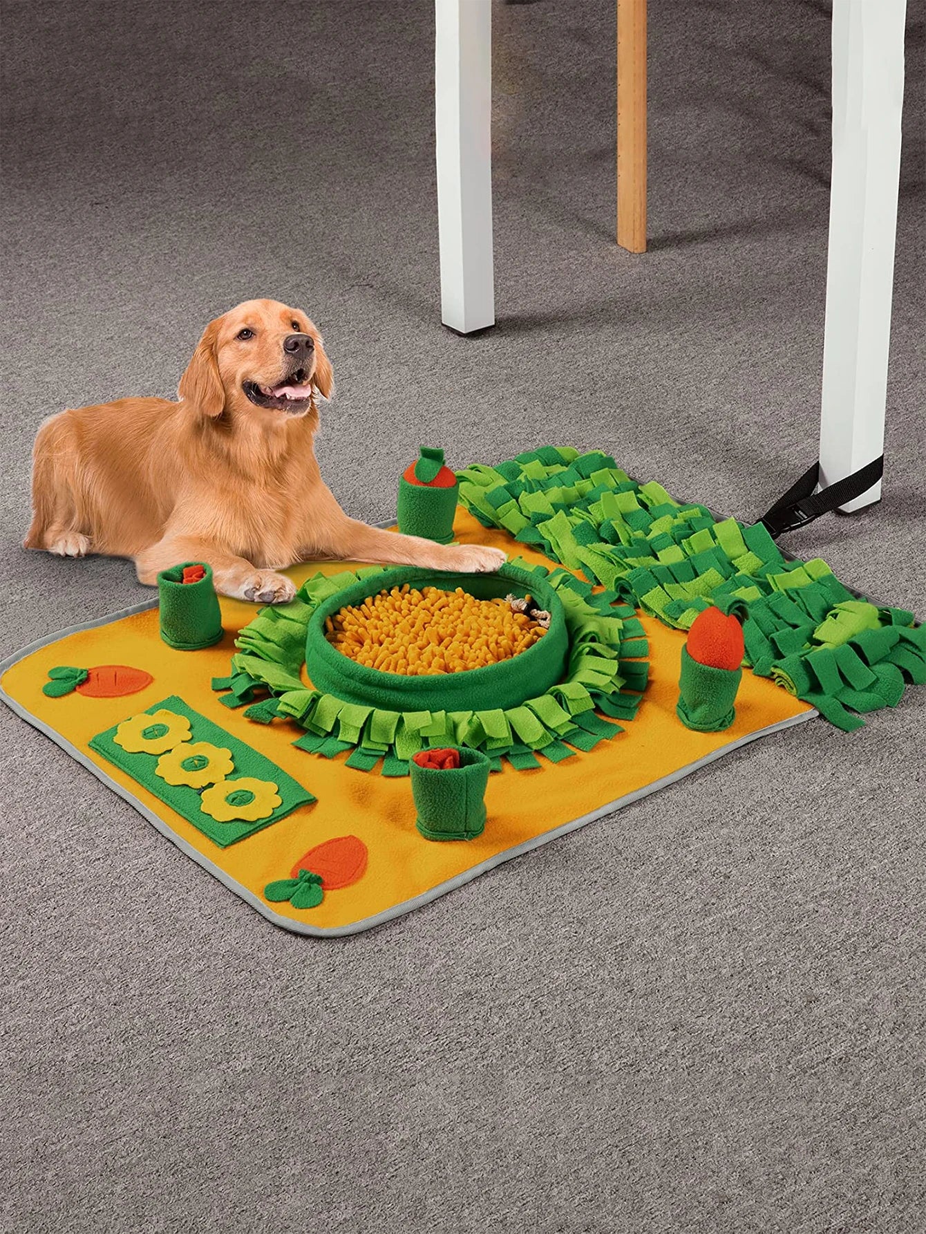 Dog Sniff Mat