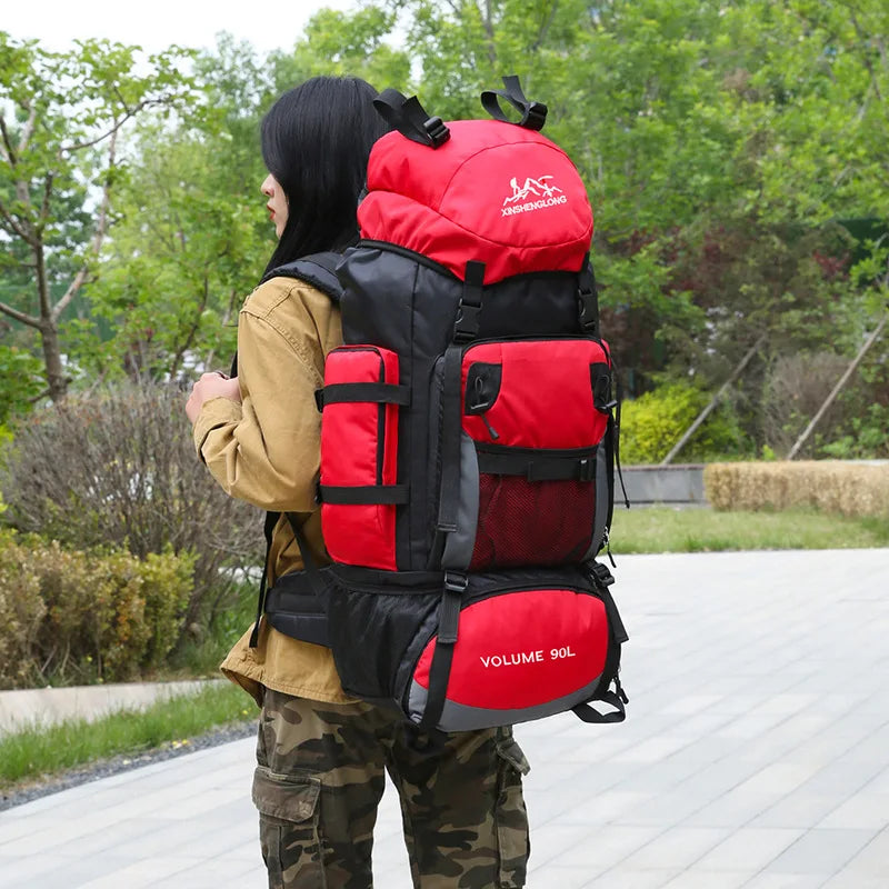 Traveling Luggage Backpack